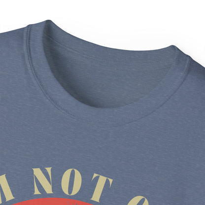 🎶 Vintage Vibes Only Tee — “I’m Not Old, I’m Classic”