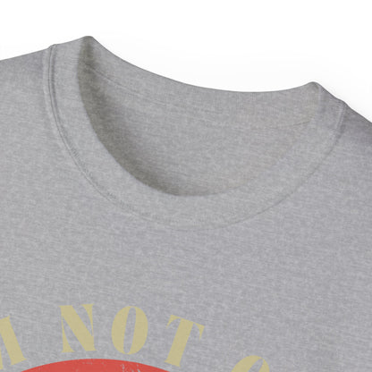 🎶 Vintage Vibes Only Tee — “I’m Not Old, I’m Classic”