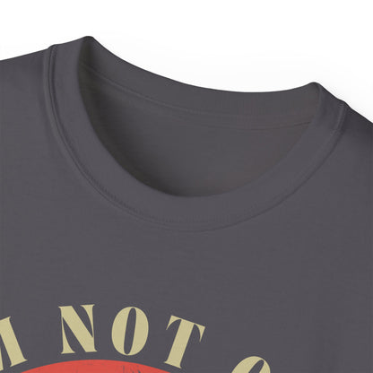 🎶 Vintage Vibes Only Tee — “I’m Not Old, I’m Classic”