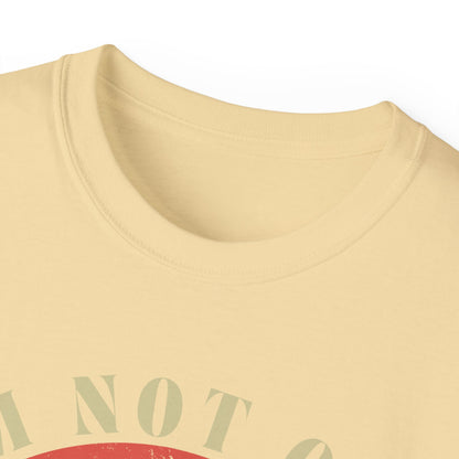 🎶 Vintage Vibes Only Tee — “I’m Not Old, I’m Classic”
