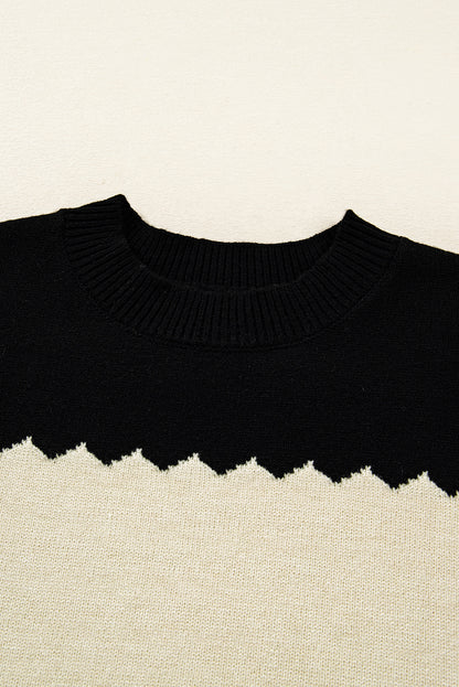 Brown Colorblock Crew Neck Drop Shoulder Sweater