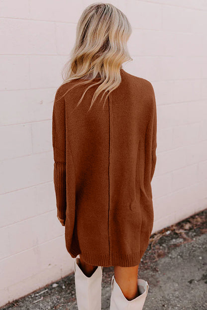 Chestnut Ribbed High Neck Front Pockets Center Seam Shift Sweater Dress
