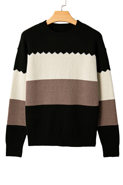 Brown Colorblock Crew Neck Drop Shoulder Sweater