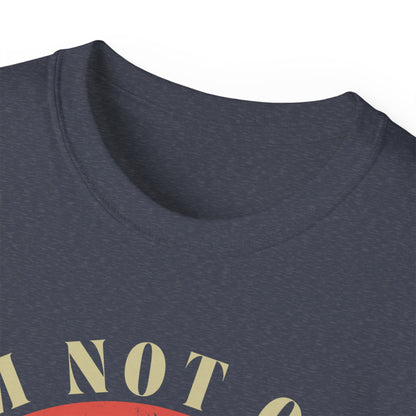 🎶 Vintage Vibes Only Tee — “I’m Not Old, I’m Classic”