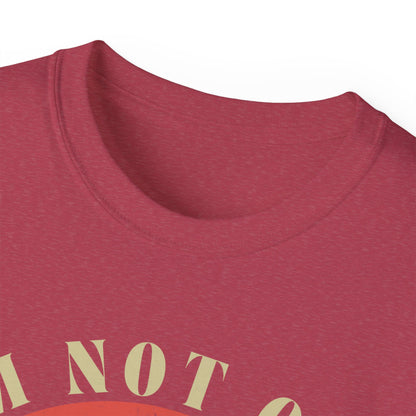 🎶 Vintage Vibes Only Tee — “I’m Not Old, I’m Classic”